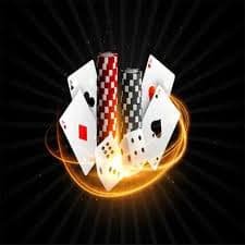 tiger 777 bet